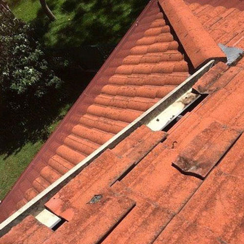 Free roof consultation for all roof repair service